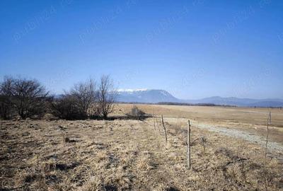 Zona Glajarie - Rasnov, teren ideal pentru investitie sau constructii de vacanta. - 8