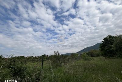 Teren de 3700 mp, în Valea Borcutului - 9