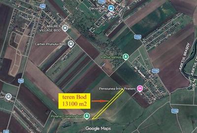 Teren agricol extravilan de 13100 mp, în Bod - 1