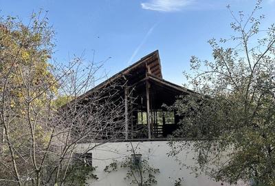 Casă cu 3 camere cu Teren 700 Mp în Vulcana de Sus - 2