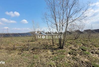 Teren de 978 mp, în Drăguțești - 5