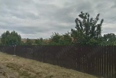 Casa de vanzare in Podu Turcului - 9