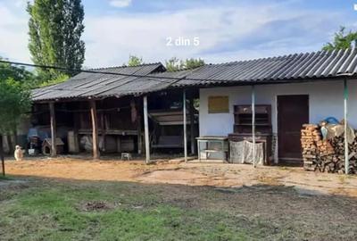 Vand Gospodarie CU Carte Funciara 3000MP - 2