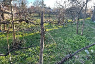 Casă cu 4 camere în Târgu Neamț - 1