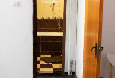 Apartament cu 3 camere semidecomandat, mobilat în Rahova - 4