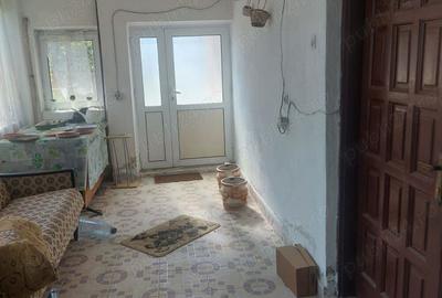 Casa de vanzare comuna Godine?ti complet utilata - 7