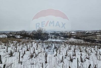 Teren de 6850 mp, în Izvor - 2