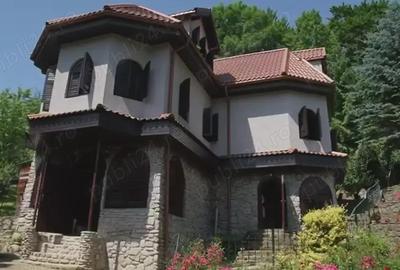 Casă cu 6 camere cu Teren 16500 Mp în Lunca Mare - 1