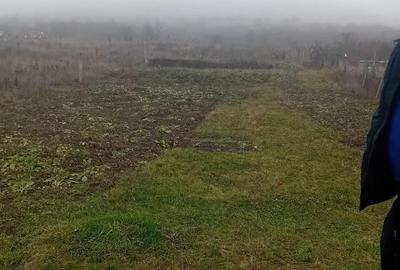Teren de 1000 mp, în Schitu Duca - 4