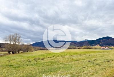 Teren intravilan in Tocile - 4354 m² - 2 fronturi - oferta competitiva - 12