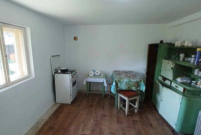 Casă cu 3 camere cu Teren 1195 Mp în Tinca - 2