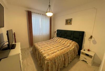 Apartament cu 3 camere semidecomandat, mobilat în Valea Lupului - 3