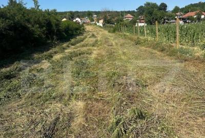 Teren de 2280 mp, în Primăverii