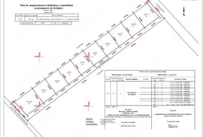 Casă cu Teren 400 Mp în Frumușani - 4