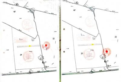 Teren agricol intravilan de 447 mp, în Chiajna - 4