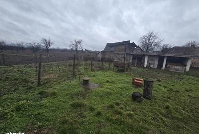 Casă cu 2 camere cu Teren 2685 Mp în Curtuișeni - 1