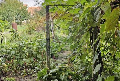 Casă cu 3 camere cu Teren 475 Mp în Central