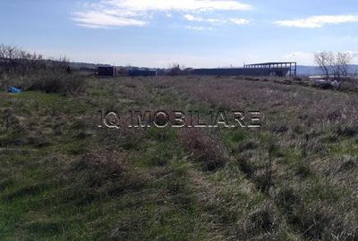 Teren de 5000 mp, în Miroslava - 5