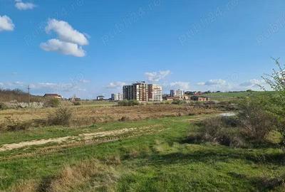 Teren de 1629 mp, în Băile Felix