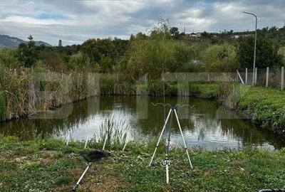 Casa individuala 270mp,2300 mp de teren cu lac de pesti, zona Nasaud - 15