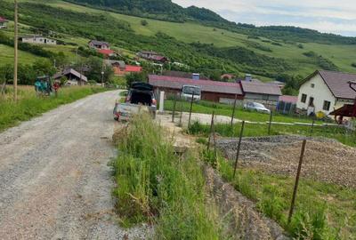 Teren de 1000 mp, în Jelna - 3