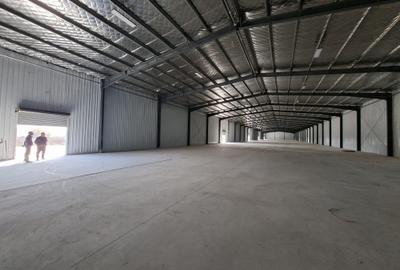 Hala 4200mp cu rampa in Afumati pentru depozitare Hala 4200mp cu rampa in Afumati pentru depozitare - 5