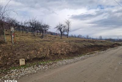 Teren de 1017 mp, în Central