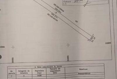 Teren de 4436 mp, în Berceni