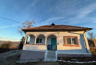 Casa de vacanta - 5