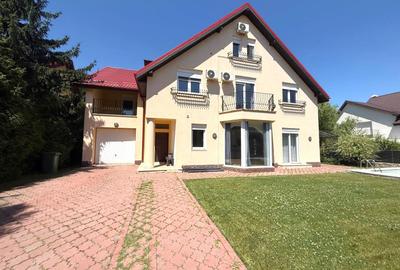 Vila cu piscina Iancu Nicolae - 12