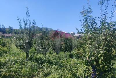 Casu?a tip foi?or, 30 mp, pe un teren de 3.000 mp, veder - 7