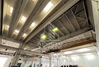 Hala Industriala de 1609 mp, Zona Buziasului - 1