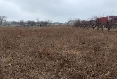 Teren investiție Km 5- Vila Cucoanei - 4