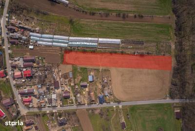 Spațiu comercial, în Balta Neagră - 7