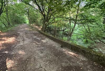 Teren Construcții intravilan de 13861 mp, în Est - 9