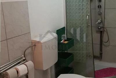 Lunca Cetatui cartier Astoria TEREN 491mp CASA 40mp toate utilitatile - 12