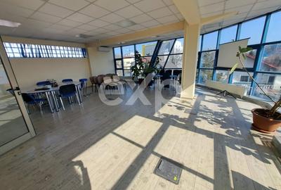 Birou, de 926 mp, în Brâncoveanu - 3