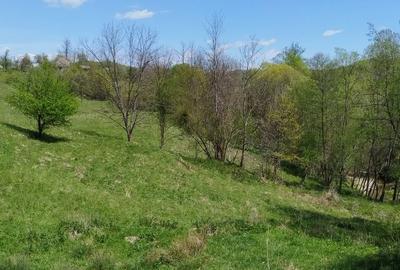 Teren de 7795 mp, în Golești - 6