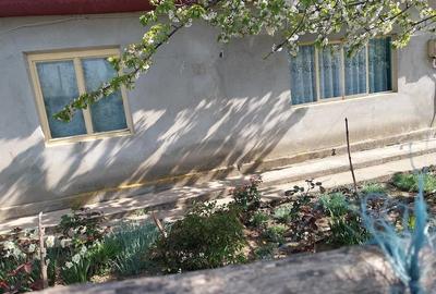 Casă cu 6 camere cu Teren 2000 Mp în Pietrele - 6