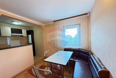 Apartament/Mansarda Gura Humorului OFERTA LUNII - 8