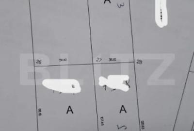 Teren de 10000 mp, în Nufărul - 1