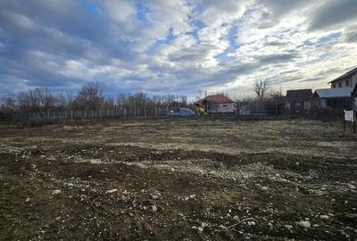 Teren de 500 mp, în Podgoria - 3