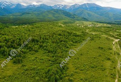 Teren de 2000 mp, în Porumbacu de Sus - 4