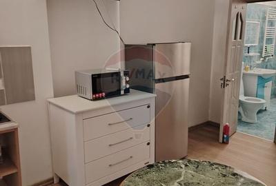 Garsoniera zona ultracentrala  de inchiriat - 2