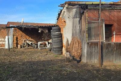 Casă cu 2 camere cu Teren 1585 Mp în Brănișca - 1