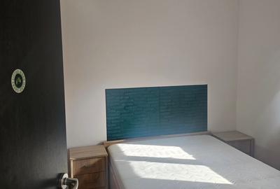 Apartament cu 2 camere semidecomandat în Tătărași - 11