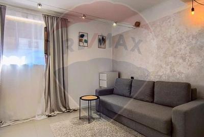 Garsoniera renovata complet - Locotenent Dumitru Lemnea 3 - 2