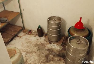 Casă cu 5 camere cu Canalizare în Coiciu - 10