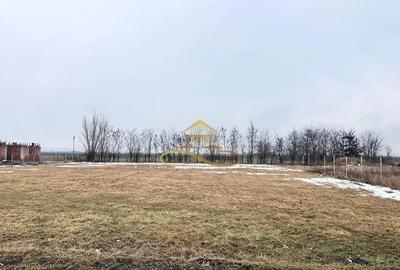 Teren în Săucești - 4