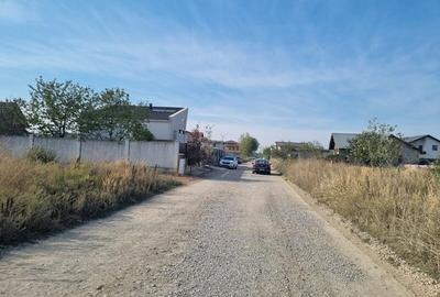 Vanzare Teren  Industrial Pantelimon Cernica 10000mp - 6